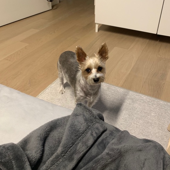 MY LITTLE BABY 🥰 - Picture 7 of 16